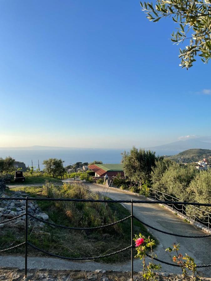 Loren House, Relaxing Location With Seaview Massa Lubrense Luaran gambar